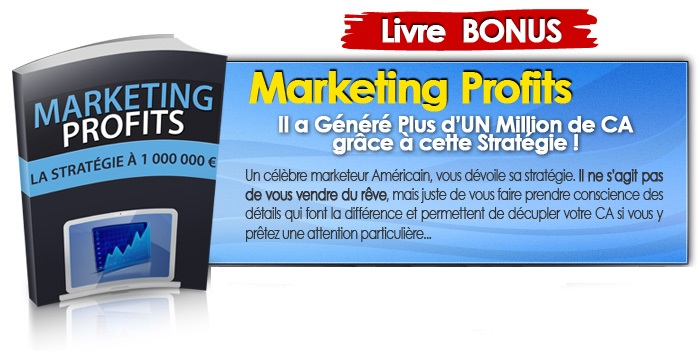 Livre Bonus - Marketing Profit - La Stratgie  1 Million - Proxima Mdia - Rseau AbcJobNet-A11